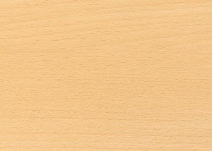 immagine legno faggio
