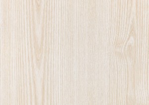 immagine legno frassino