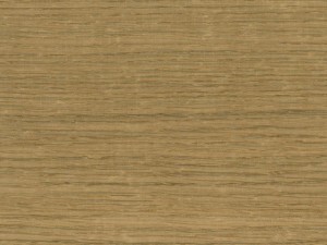 immagine legno rovere