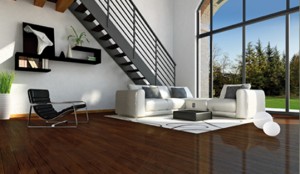 gallery2   